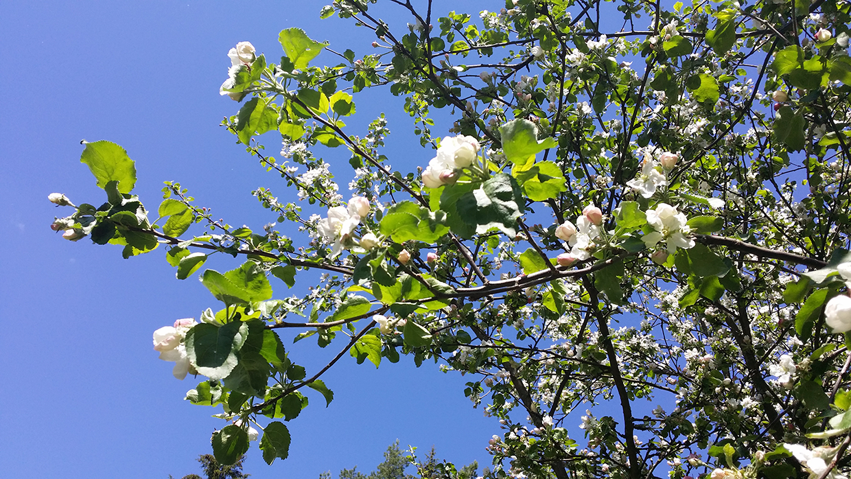 20150520_145411.png