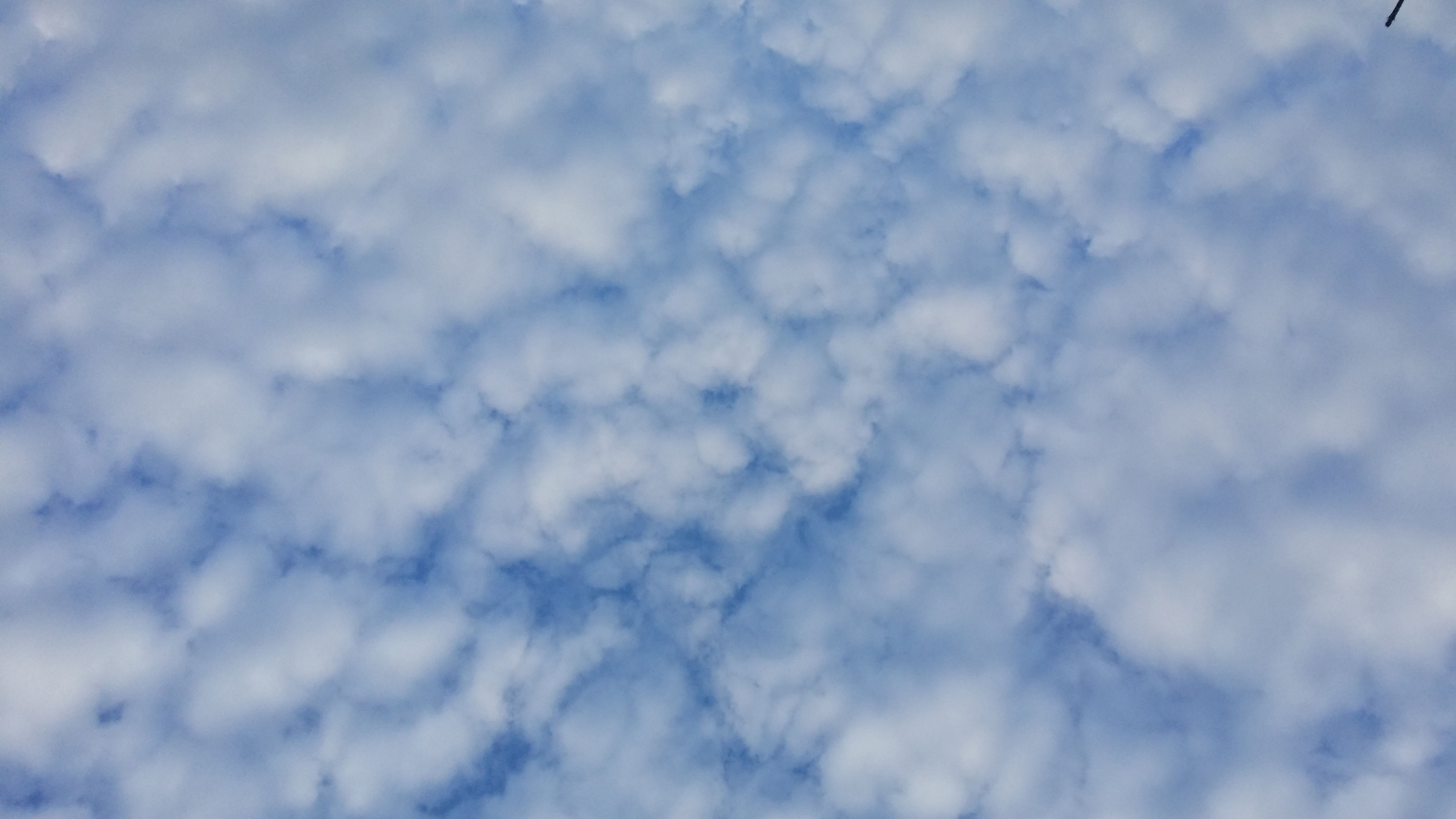 20150708_200237.jpg
