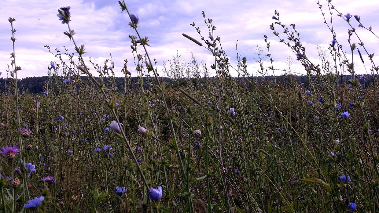 20150722_152438.png