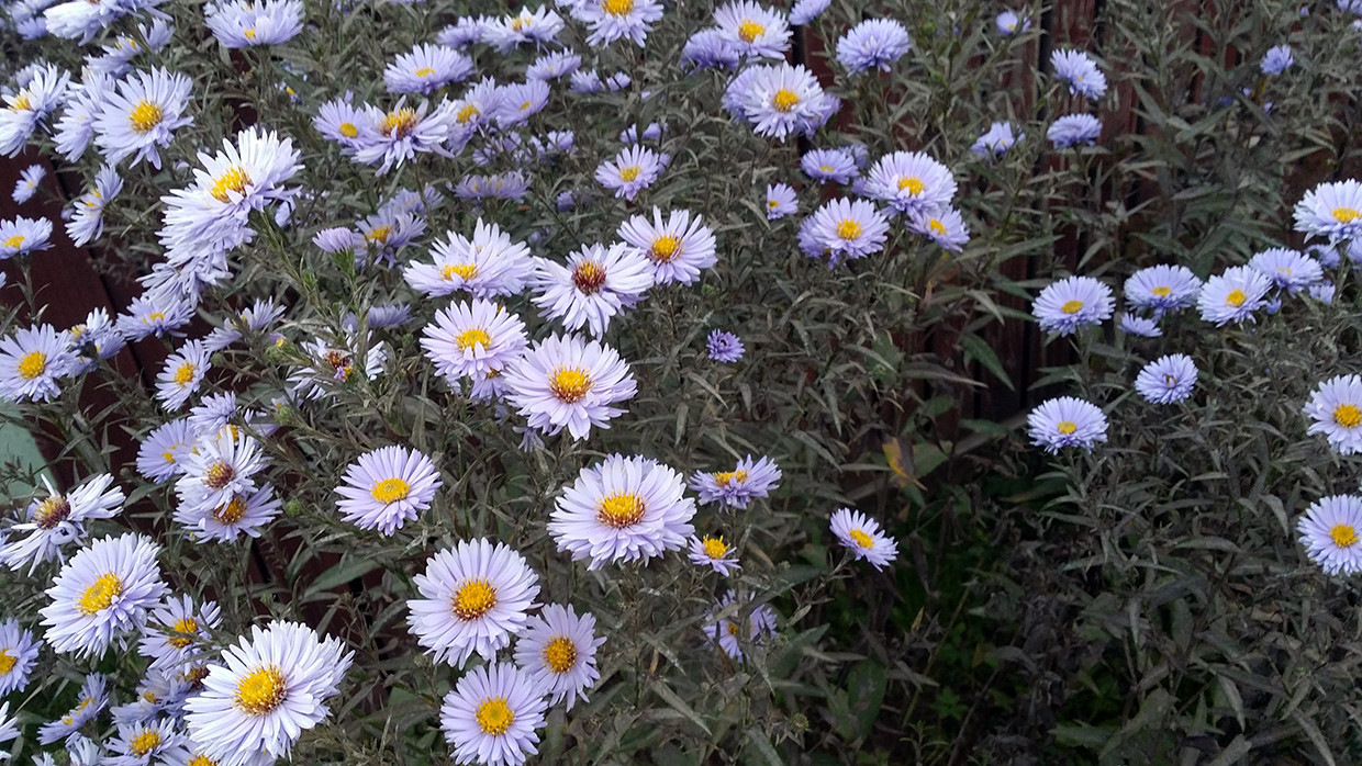20150930_171954.png
