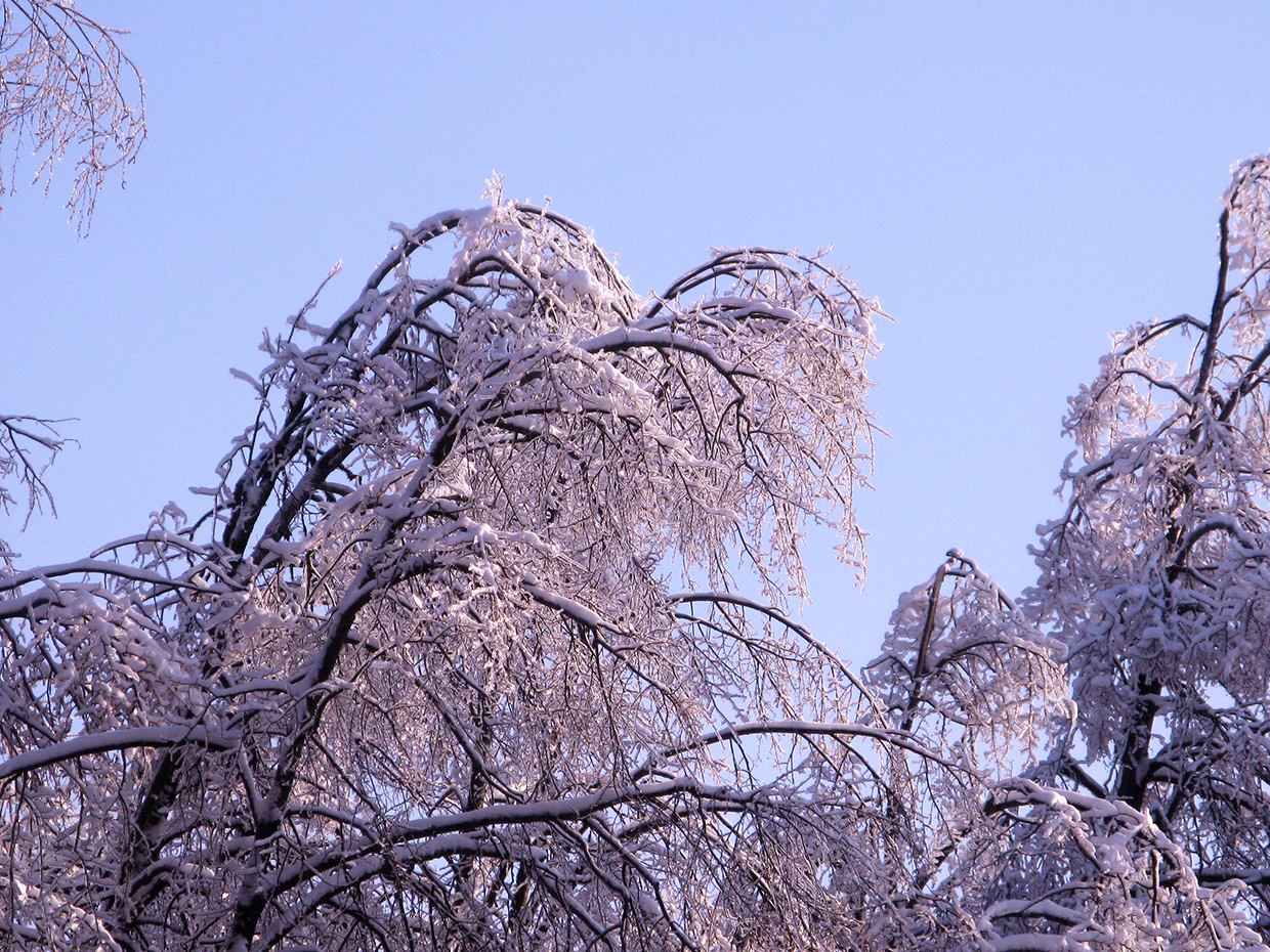 IMG_2165.png
